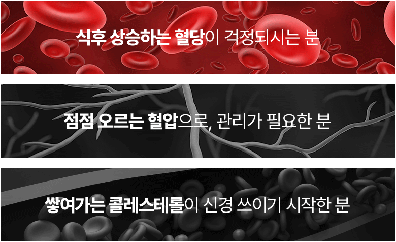 gif 배너